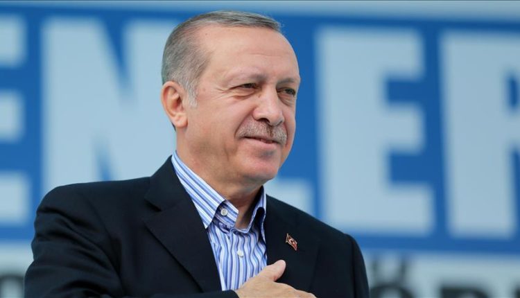 الرئيس التركي رجب طيب أردوغان (Metin Pala - وكالة الأناضول)