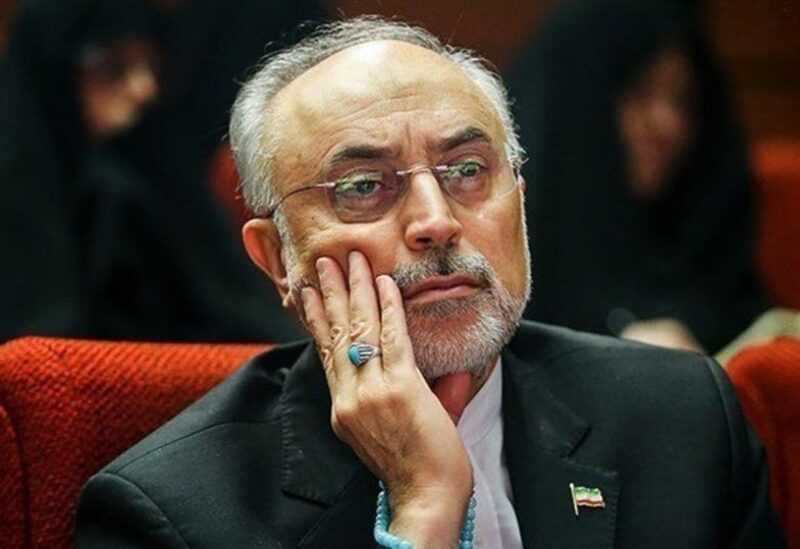 علي أكبر صالحي رئيس وكالة الطاقة الذرية الإيرانية