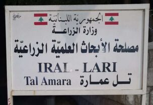 مصلحة الأبحاث الزراعية