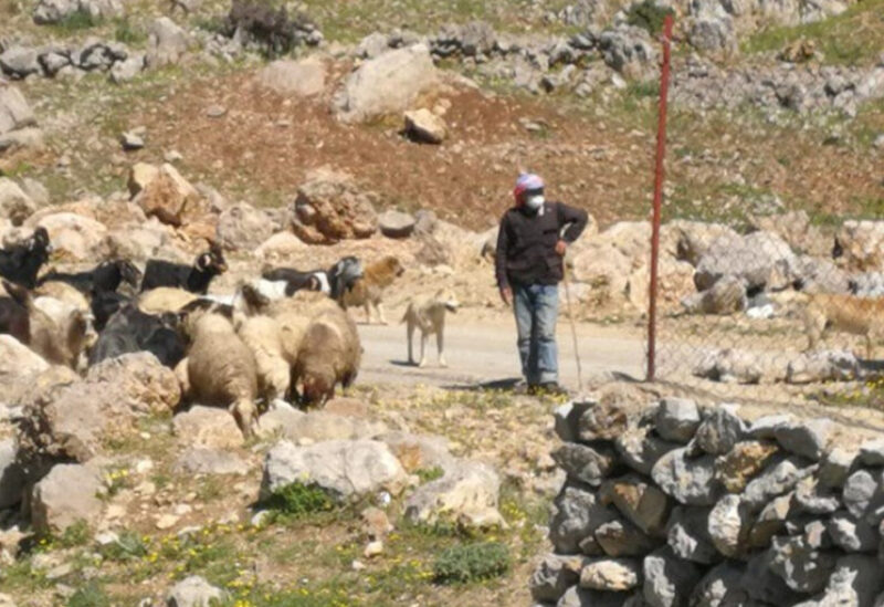 جيش العدو اطلق رشقات باتجاه راع في جبل الشحل
