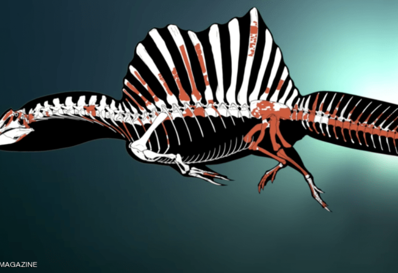 مجسم الديناصور المائي