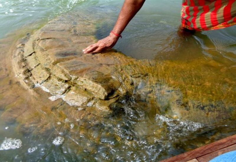 اكشاف معبد تحت المياه بالهند عمره نصف قرن