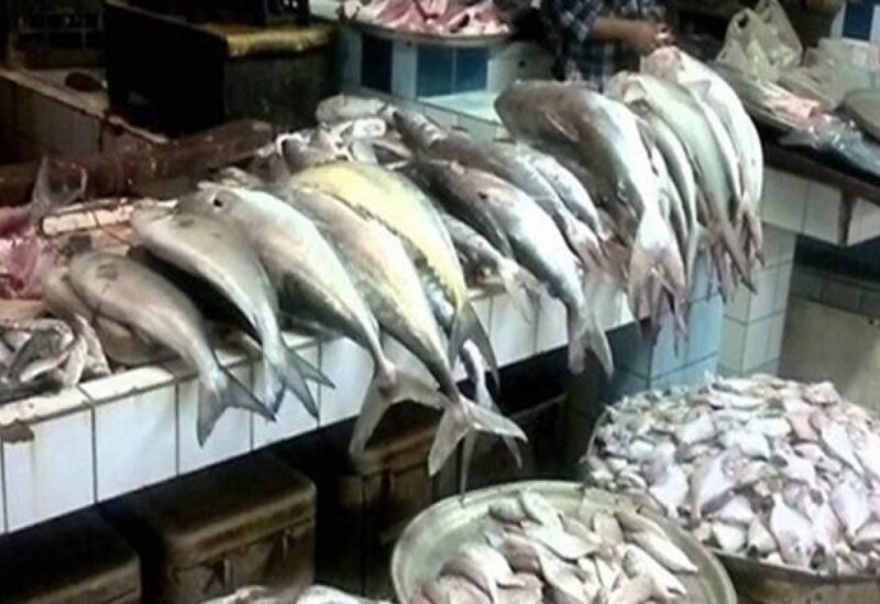 انتعاش تجارة السمك في العراق بفضل كورونا
