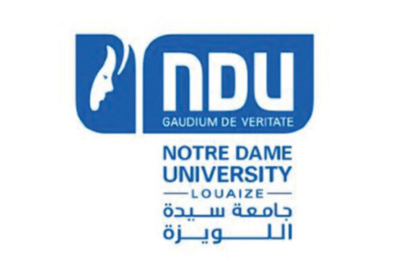 جامعة سيدة اللويزة