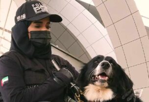 الإمارات تستخدم الكلاب البوليسية للكشف عن كورونا