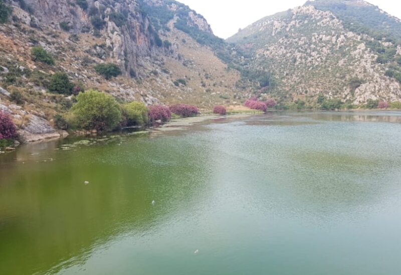 بحيرة عيون السمك