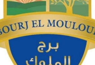 بلدية برج الملوك