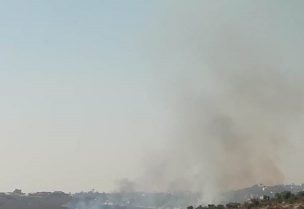 حريق بين دير الزهراني وعزة