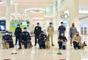 الإمارات الأولى عالمياً في تطبيق الكشف عن كوفيد-19 بالكلاب البوليسية