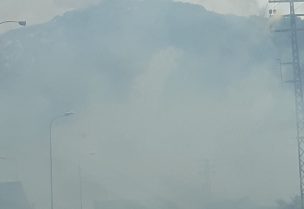 حريق بين حامات واوتوستراد البترون