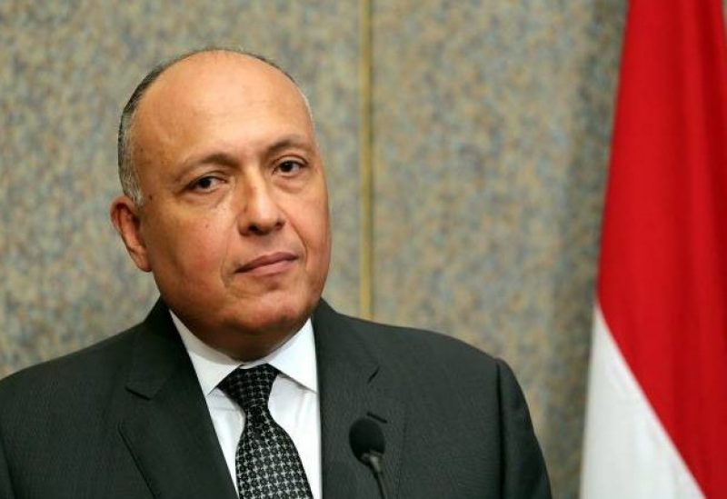 سامح شكري