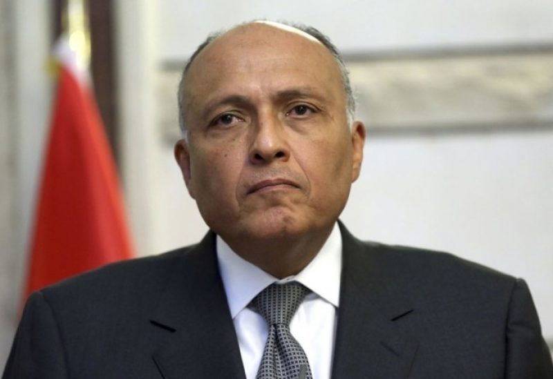 وزير خارجية مصر