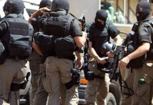القوة الضاربة في شعبة المعلومات