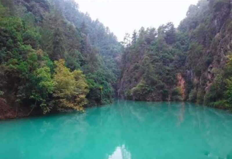 محمية جبل موسى