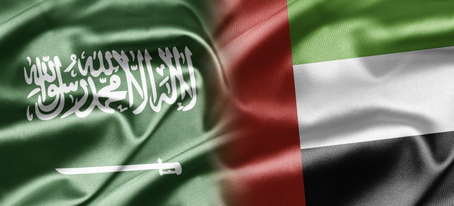 علما السعودية والامارات