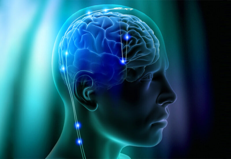 المخ البشري يصل ذروته الإدراكية في سن الـ35
