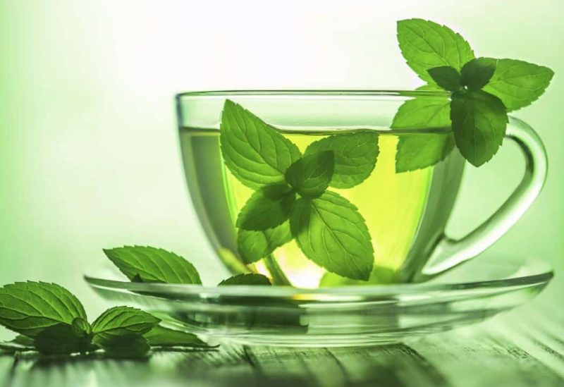 أوراق النعناع