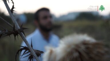 رواية مدمن