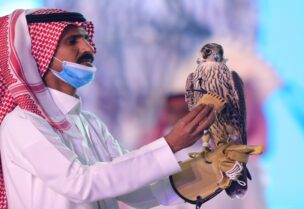 صقر سعودي يحطم الرقم القياسي في مزاد