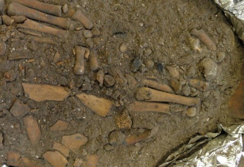 اكتشاف بقايا طفل أزيلت أطرافه في طقوس دفن غامضة