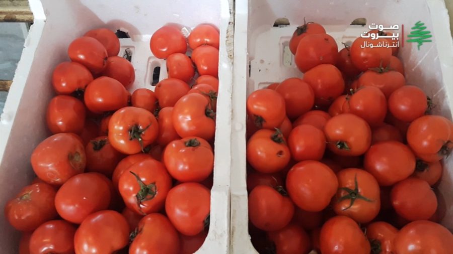 كيلو البندورة بـ 10000 ليرة لبنانية