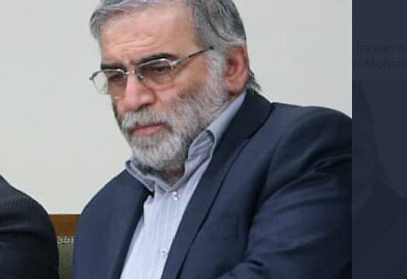 محسن فخري زاده