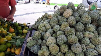 من المفروشات إلى بسطة موز وقشطة