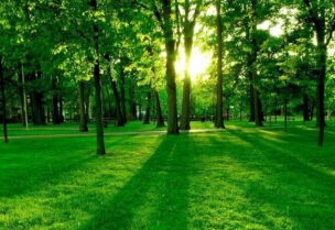 ظهور صخور غريبة على الأرض في رومانيا