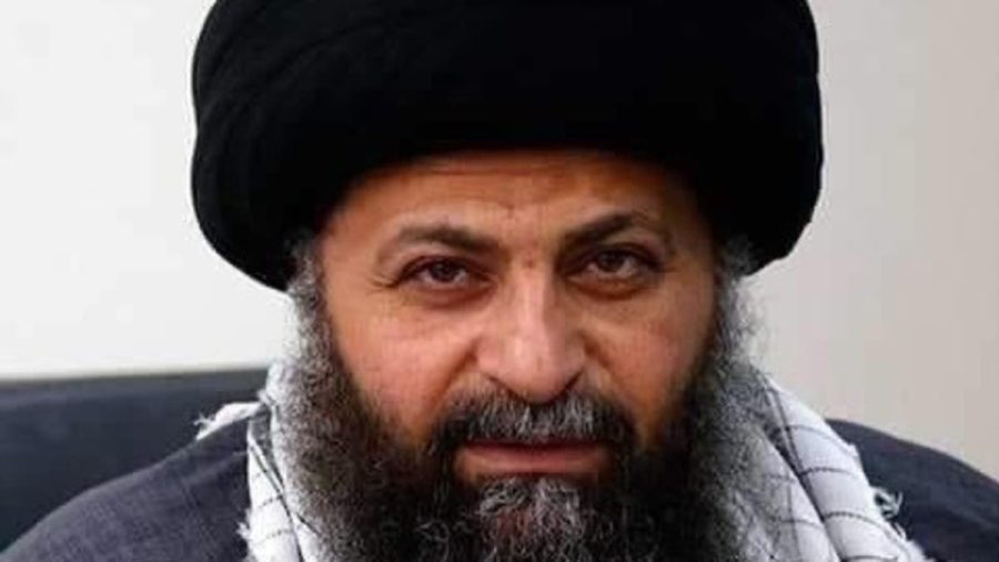 حامد الجزائري