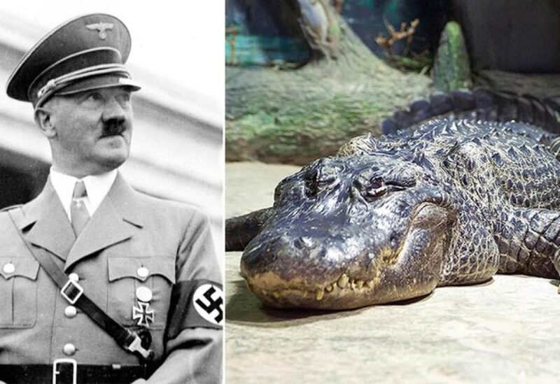 ساتورن تمساح هتلر المفضل