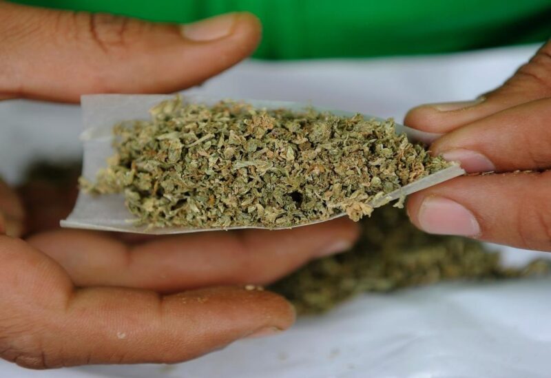 حشيش