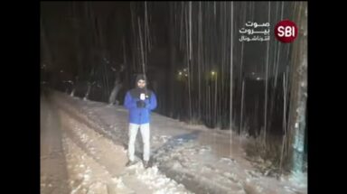 بشري