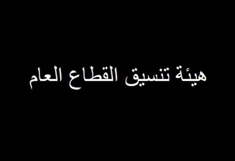 هيئة تنسيق القطاع العام