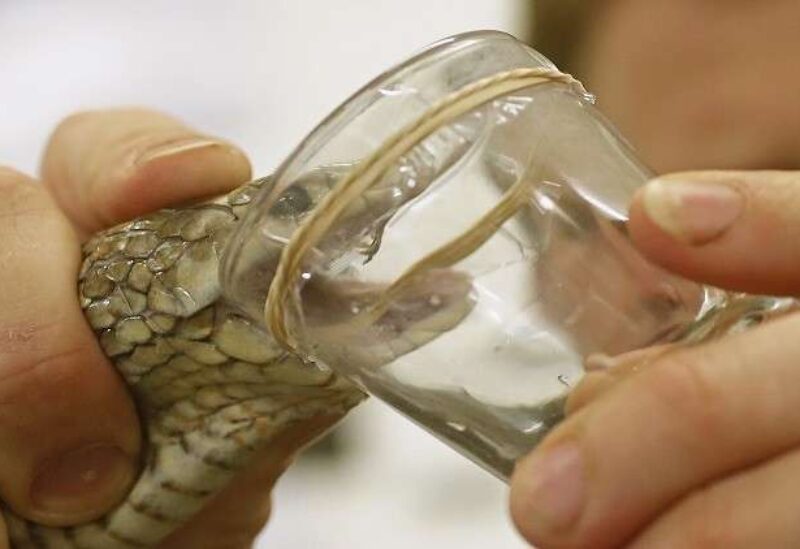 سم الثعبان