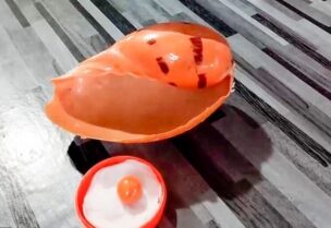 لؤلؤة ميلو
