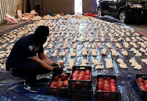 ضبط مخدرات في السعودية بشحنة من فواكه الرمان آتية من لبنان