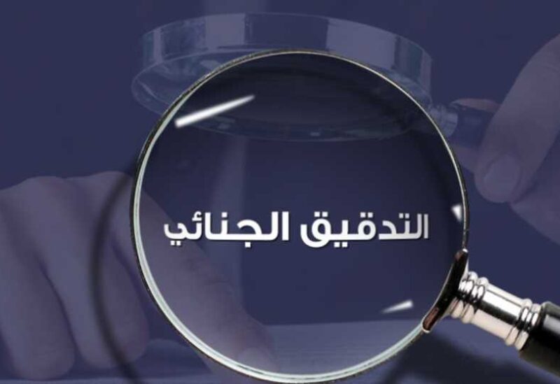 التدقيق الجنائي