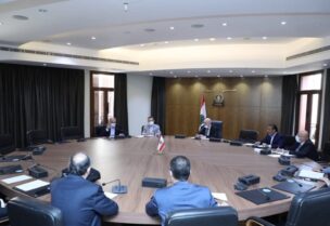 اللجنة الفرعية المنبقة عن لجنة الصحة العامة والعمل والشؤون الاجتماعية