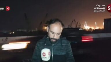 ربيع شنطف