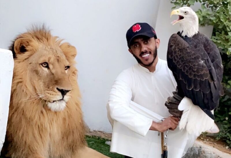 أسامة الدغيري