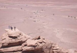 الجزيرة العربية بالسعودية