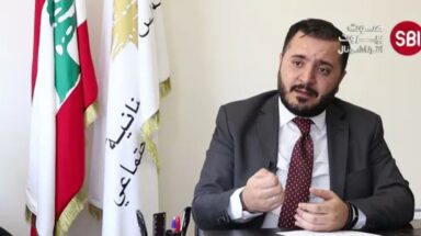 الدكتور محمد سيف الدين