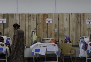 تسجيل إصابات بالفطر الأسود في بعض دول العالم