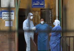اجراءات في مصر لمواجهة "الفطر الاسود"