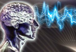 الدماغ- تعبيرية