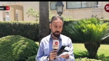 ربيع شنطف
