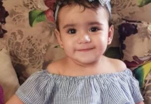 جوري السيد