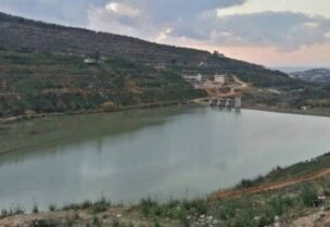 نفوق الأسماك في مجرى نهر البارد