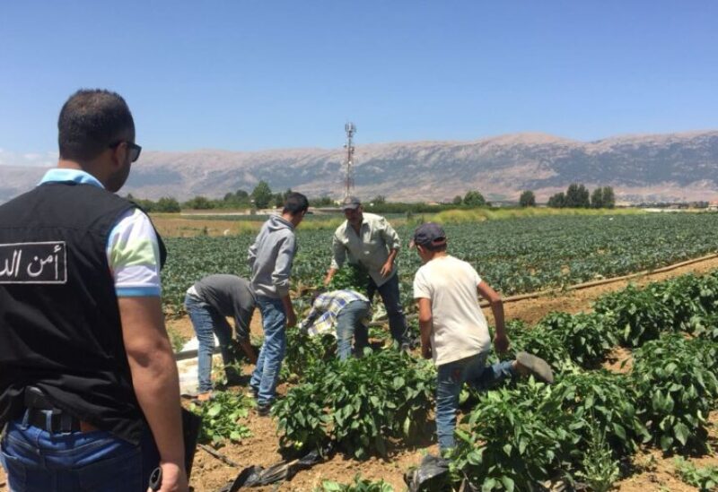 أراضي زراعية في لبنان