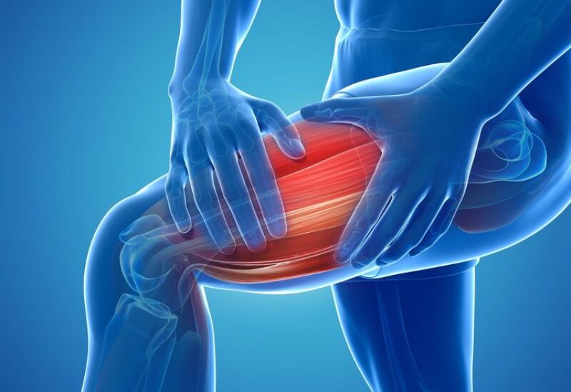 طب وصحة – دراسة: تحسين القدرة على التحمل العضلي يتطلب مساعدة من خلايا الدماغ